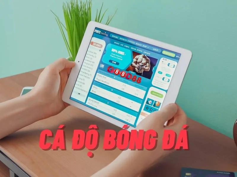 ca do bong da